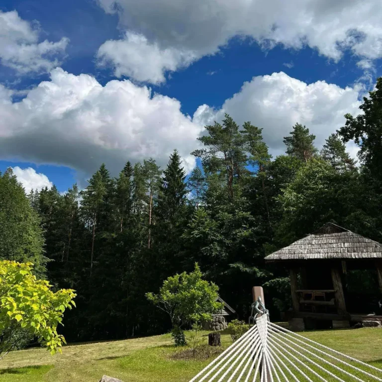 privati sodyba gamtos apsuptyje